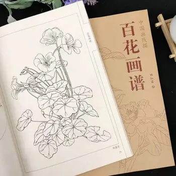 Chinesische Malerei Linie Zeichnung Buch Farbe Bleistift Hundert Blumen /Vögel /Lotus/Peony coloring book Gravur-Muster für Anfänger