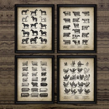 Vintage Farm Animals Poster Print Huhn, Schwein, Schaf und Pferd Wand Kunst Leinwand Malerei Retro Tier Bild Home Dekoration